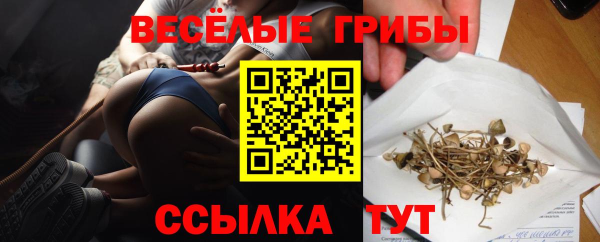 Нижневартовск  Псилоцибиновые грибы Magic Shrooms  Вход с VPN 